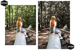 12 Grove Enticing Photoshop Actions And ACR Presets, Green Product Image 5
