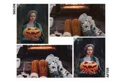12 Thanksgiving Photoshop Actions And ACR Presets, Black Product Image 5