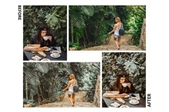 10 Always Green Photoshop Actions And ACR Presets, Bright Product Image 5