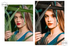 12 Attractive Sage Photoshop Actions, Spring ACR Preset, Product Image 6
