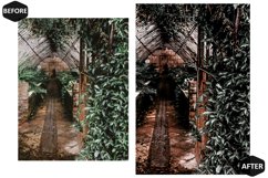 12 Grove Enticing Photoshop Actions And ACR Presets, Green Product Image 6