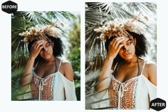 10 Always Green Photoshop Actions And ACR Presets, Bright Product Image 6