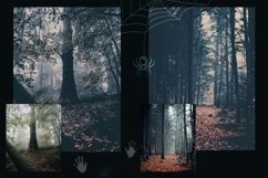 12 Horrorween Photoshop Actions, Moody Halloween ACR Preset, Product Image 6