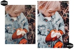 12 Thanksgiving Photoshop Actions And ACR Presets, Black Product Image 6