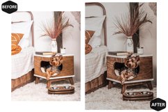 12 Silver Pearl Photoshop Actions And ACR Presets, Gray Tone Product Image 6