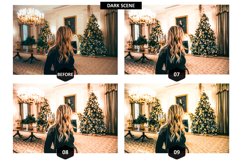 12 Merrymaking Photoshop Actions And ACR Presets Product Image 8