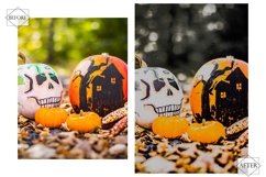 12 Halloween Mood Photoshop Actions, Dark Smooky ACR Preset, Product Image 7
