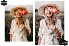 12 Grove Enticing Photoshop Actions And ACR Presets, Green Product Image 7