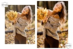 12 Autumn Fades Lightroom Presets, Fall Preset, Orange Moody Product Image 7