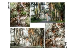 10 Always Green Photoshop Actions And ACR Presets, Bright Product Image 7