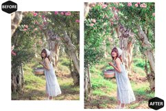 12 Sweet Spring Photoshop Actions And ACR Presets, Outdoor Product Image 8