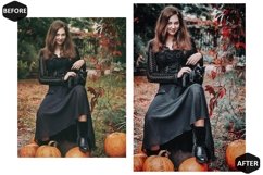 12 Thanksgiving Photoshop Actions And ACR Presets, Black Product Image 8