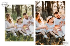 12 Attractive Sage Photoshop Actions, Spring ACR Preset, Product Image 8