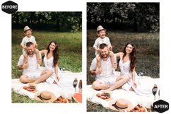 12 Grove Enticing Photoshop Actions And ACR Presets, Green Product Image 8