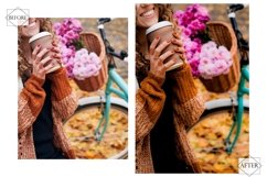 12 Autumn Fades Lightroom Presets, Fall Preset, Orange Moody Product Image 8