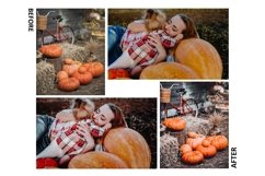 12 Thanksgiving Photoshop Actions And ACR Presets, Black Product Image 9