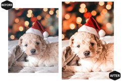 12 Merrymaking Photoshop Actions And ACR Presets Product Image 2