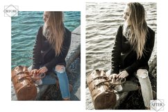 12 Black Swan Photoshop Action, Moody Mobile Preset, Noir Product Image 9