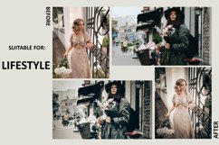 18 Lovers&#039; Paradise Mobile &amp; Desktop Lightroom Presets Product Image 8