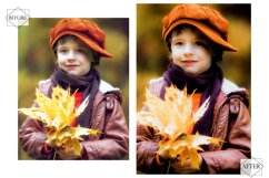 12 Autumn Fades Lightroom Presets, Fall Preset, Orange Moody Product Image 9