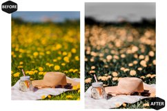 12 Grove Enticing Photoshop Actions And ACR Presets, Green Product Image 10