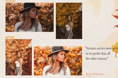 10 Light Fall Photoshop Actions And ACR Presets Product Image 3