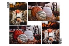 12 Thanksgiving Photoshop Actions And ACR Presets, Black Product Image 10