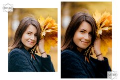 12 Autumn Fades Lightroom Presets, Fall Preset, Orange Moody Product Image 10