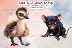 Baby Australian Animal Watercolor Sublimation Clipart Product Image 4