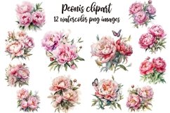 Peonis clipart Product Image 1