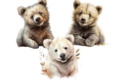 Baby bear clipart Product Image 2