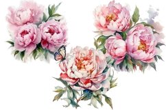 Peonis clipart Product Image 2