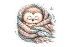 Cute Owl Product Image 1