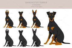 Manchester Terrier Standard clipart Product Image 2