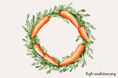 Carrot Watercolor Clipart PNG Product Image 1