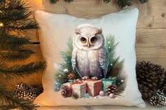 Christmas Birds Clipart , Christmas Birds Clipart Product Image 4