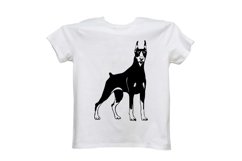 Doberman dog/Dog Svg/Png/Jpg/Ai/Vector purebred breed/Pet Product Image 4