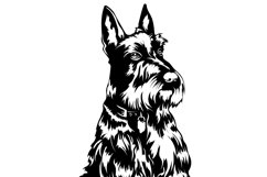 Scottish Terrier Bandle Svg/Png/Jpg/Ai/Vector purebred breed Product Image 4