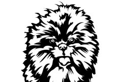 Affenpinscher dog/Dog Svg/Png/Jpg/Ai/Vector purebred breed Product Image 4