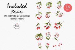 Watercolor berries clipart, rosehip clipart, berries clipart Product Image 2