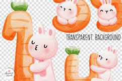 Easter Rabbit Numbers, Birtday Numbers , Rabbit Numbers Product Image 3
