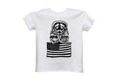 Eagle Svg/Png/Jpg/Ai/Vector birds/American flag with eagle Product Image 4