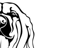 Spanish Mastiff dog/Mastife/Dog Svg/Png/Jpg/Ai/Vector dog Product Image 4