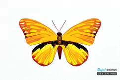 Watercolor Groovy Butterflies Sublimation PNG Product Image 1
