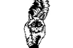 Cute Cat Svg/Png/Jpg/Ai/Vector cat/Pet Svg/The look of a cat Product Image 4