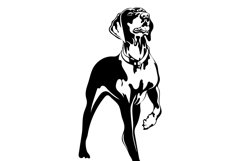Redbone Coonhound SVG/Dog Svg/Png/Jpg/Ai/Purebred breed Svg Product Image 4