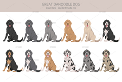 Great Danoodle dog mix Product Image 3