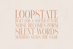 Maturation Elegant High-Contrast Serif Font Product Image 4