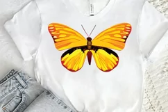 Watercolor Groovy Butterflies Sublimation PNG Product Image 2