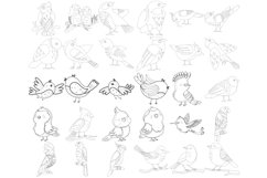 Birds Outlines Set 2 Procreate Brush Stamps, 30 Bird Product Image 4